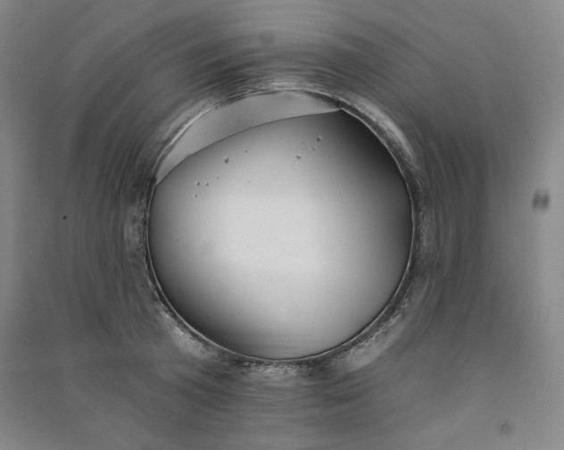 X0000091340801200708171410