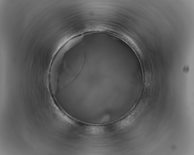 X0000091340802200708171410