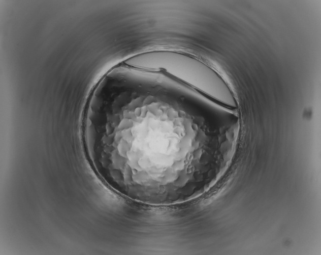 X0000091340803200708171410