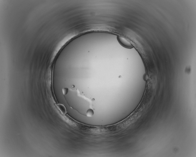 X0000091340804200708171410