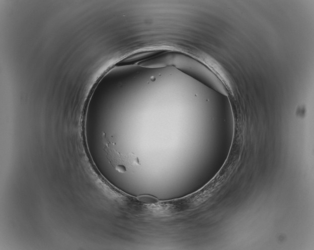 X0000091340805200708171410