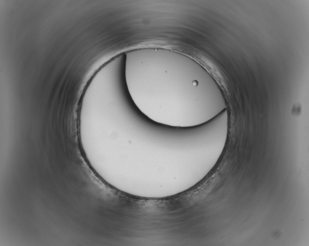 X0000091340808200708171410