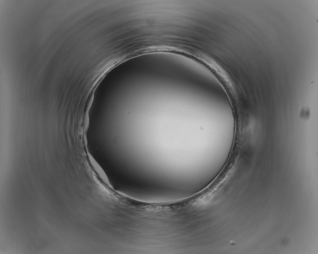 X0000091340809200708171409