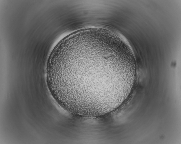 X0000091340811200708171409