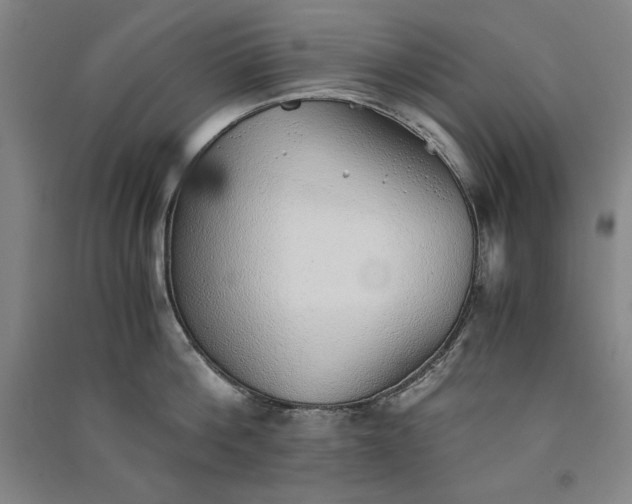 X0000091340812200708171409