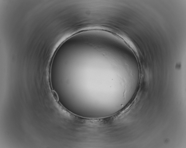 X0000091340813200708171409