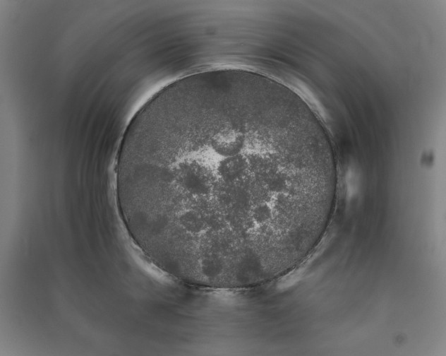 X0000091340814200708171409