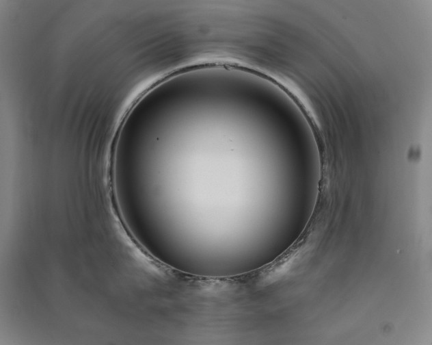 X0000091340815200708171409