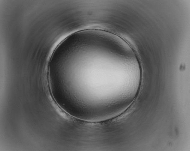 X0000091340816200708171409