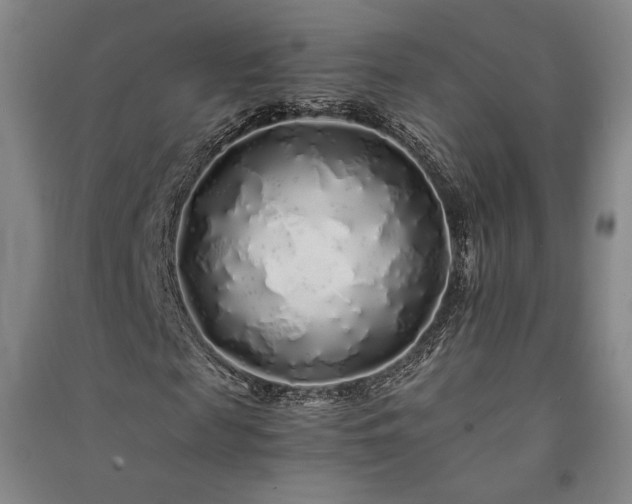 X0000091340817200708171409