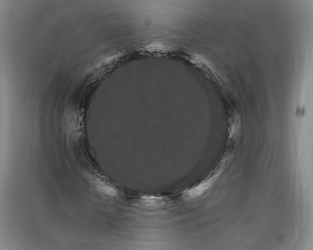 X0000091340818200708171409