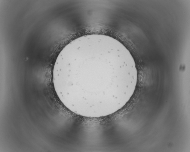 X0000091340820200708171409