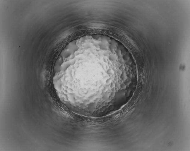 X0000091340821200708171409