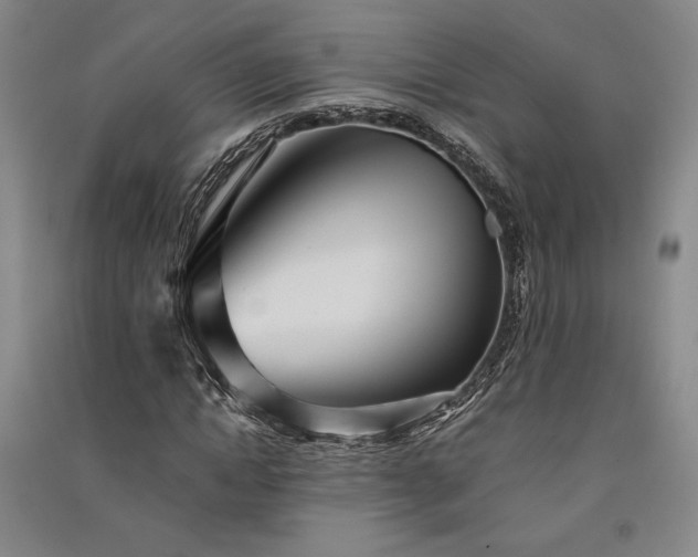 X0000091340822200708171409