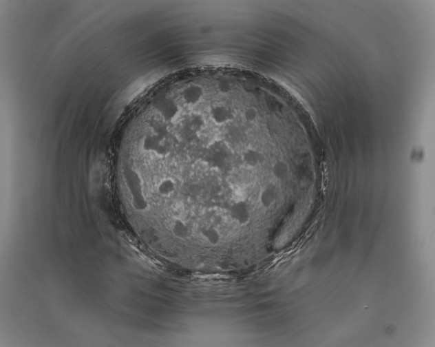 X0000091340823200708171409