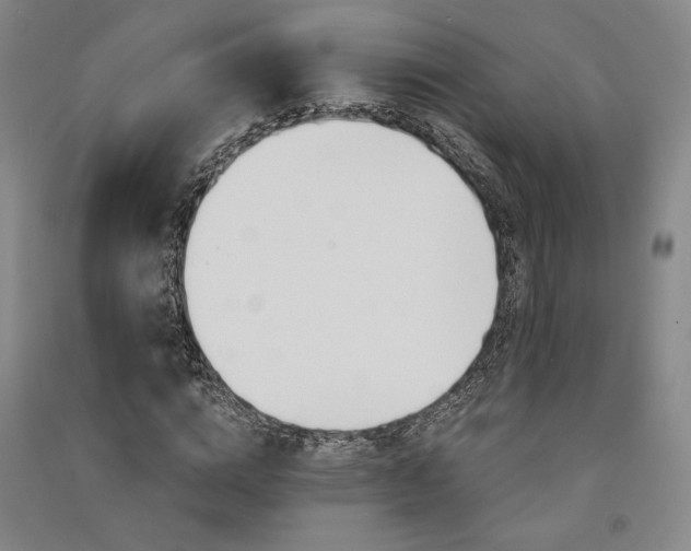 X0000091340824200708171409