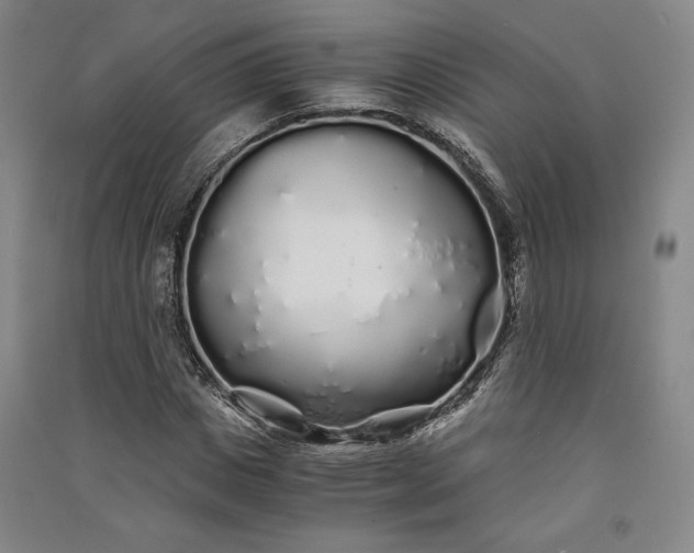 X0000091340825200708171409