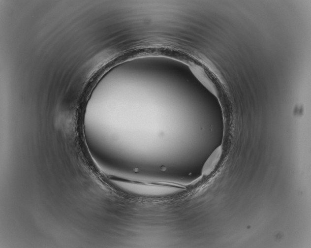 X0000091340826200708171409