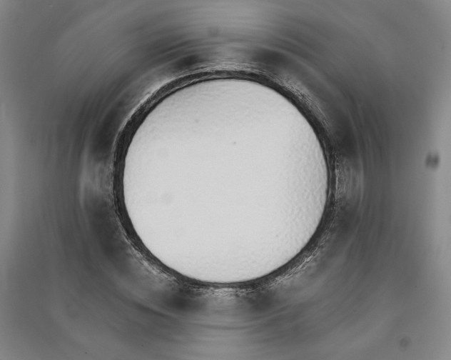 X0000091340828200708171409