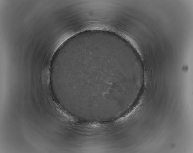 X0000091340829200708171409