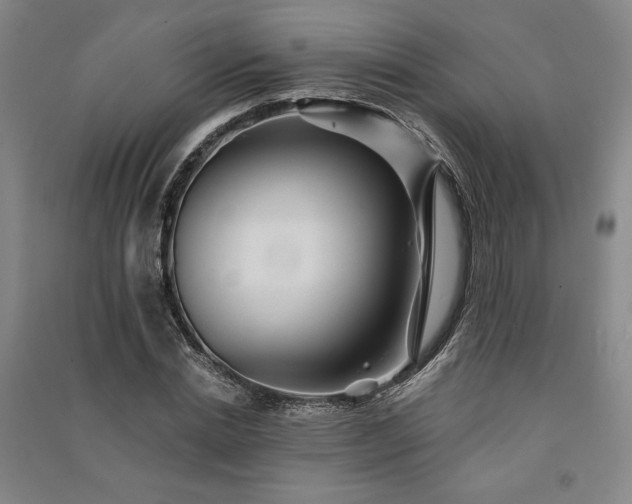 X0000091340830200708171409