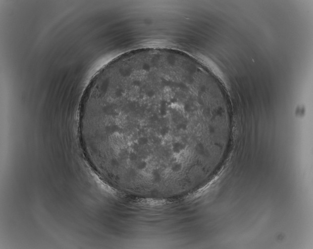 X0000091340831200708171409