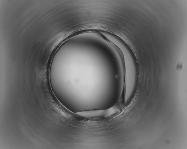 X0000091340834200708171409