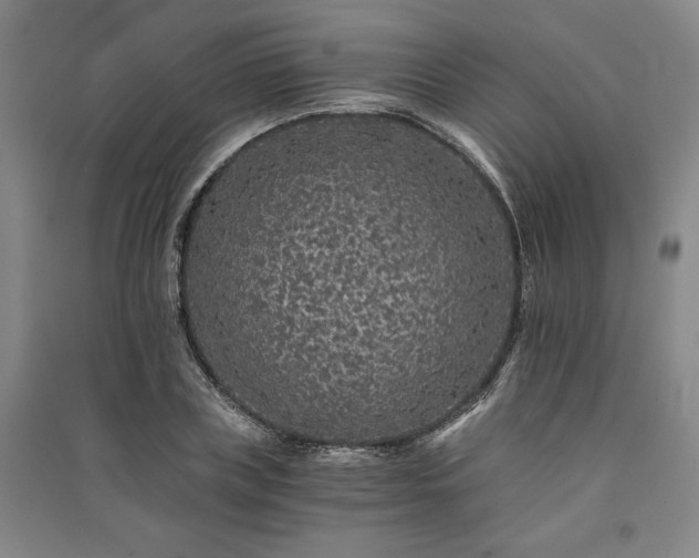 X0000091340835200708171409