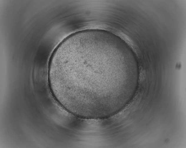 X0000091340836200708171409