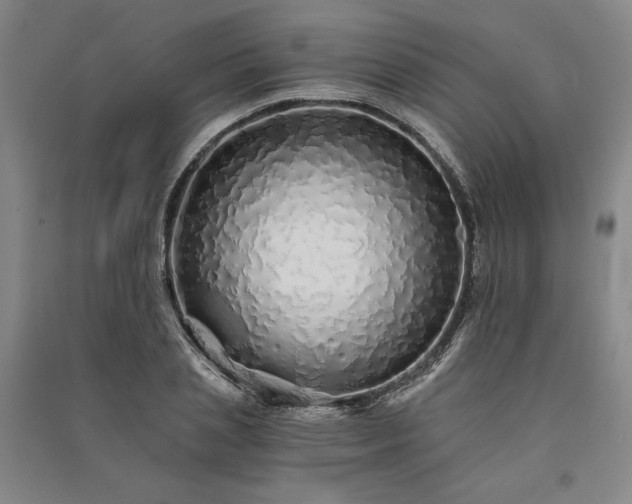 X0000091340837200708171409