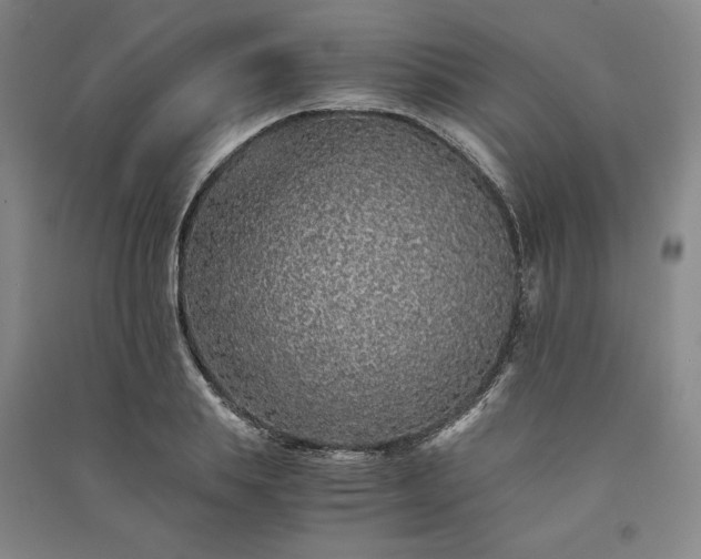 X0000091340839200708171409