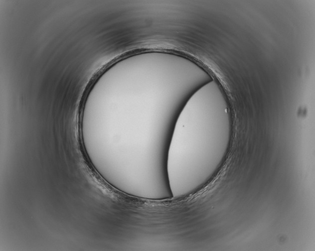 X0000091340840200708171409