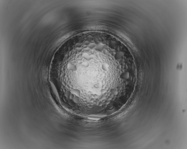 X0000091340841200708171409