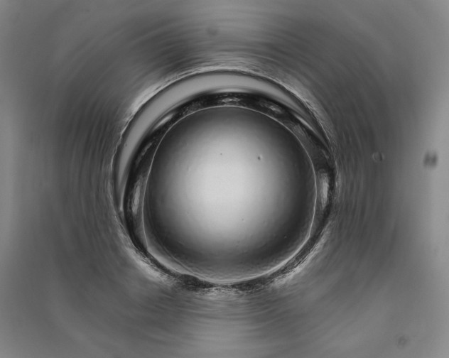 X0000091340842200708171409