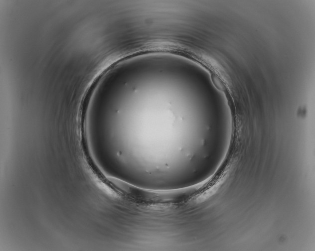 X0000091340843200708171409