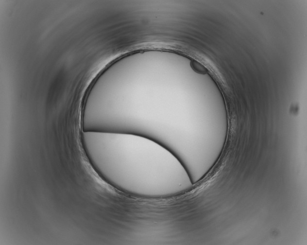 X0000091340844200708171409