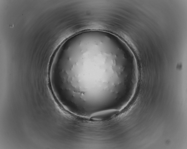 X0000091340845200708171409