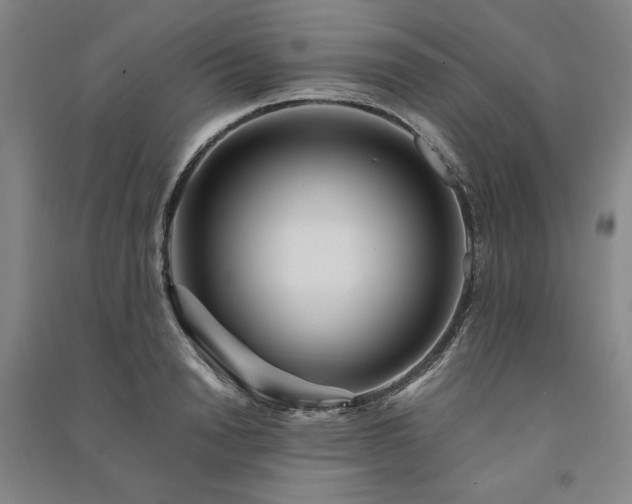 X0000091340846200708171409