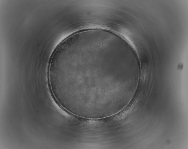 X0000091340847200708171409