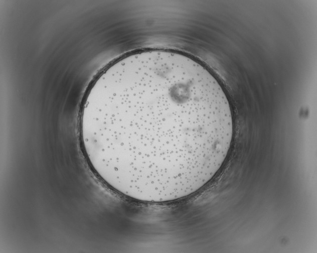 X0000091340848200708171409