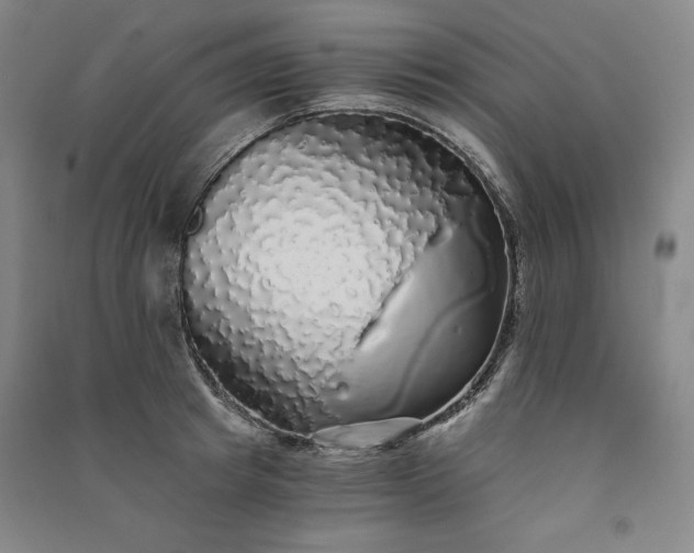 X0000091340849200708171409