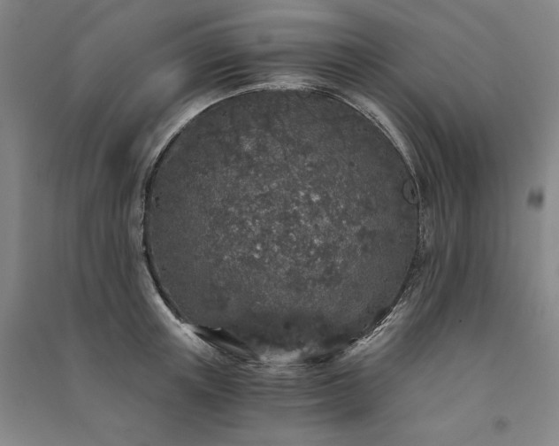 X0000091340851200708171409