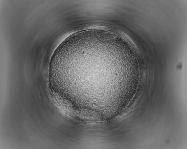 X0000091340852200708171409