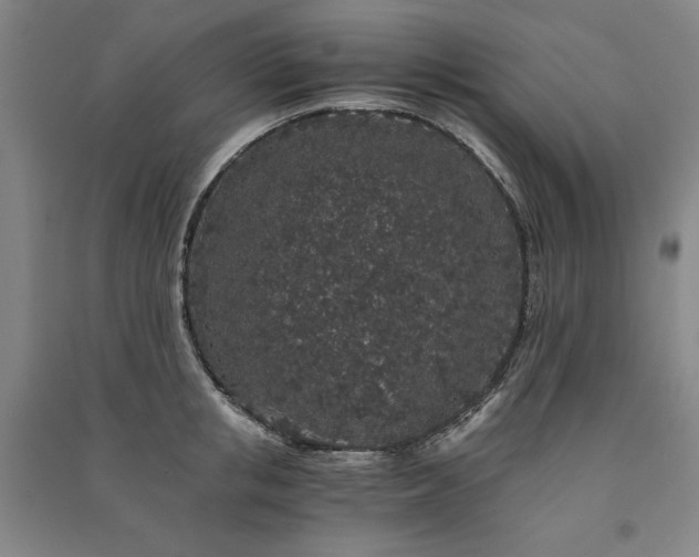 X0000091340853200708171409