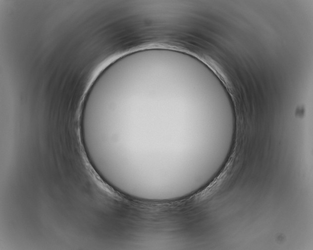 X0000091340854200708171409