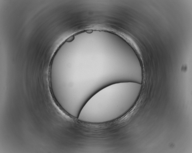 X0000091340855200708171409