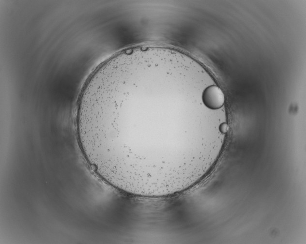 X0000091340856200708171409