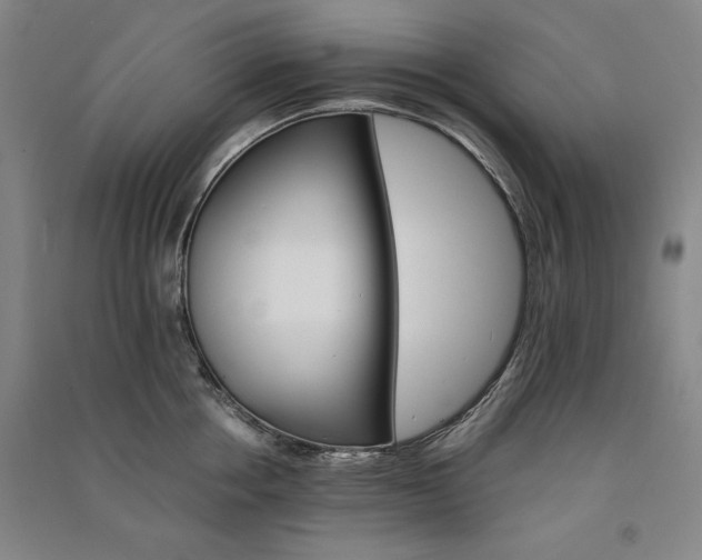 X0000091340858200708171409