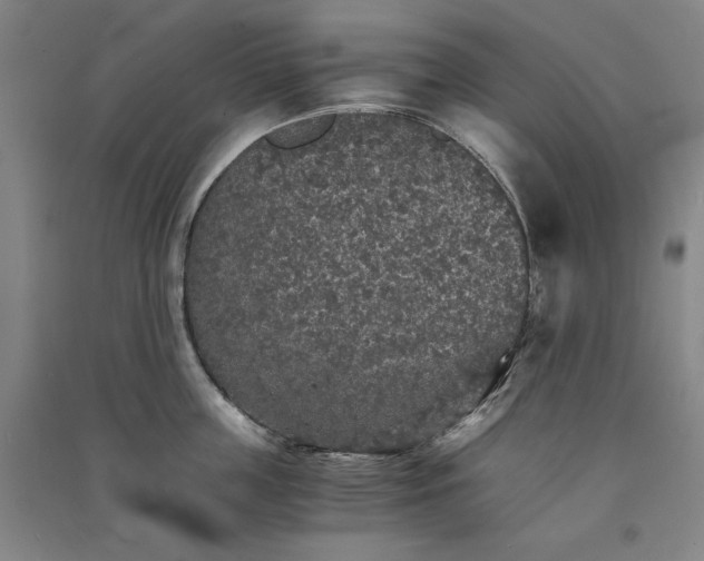 X0000091340859200708171409