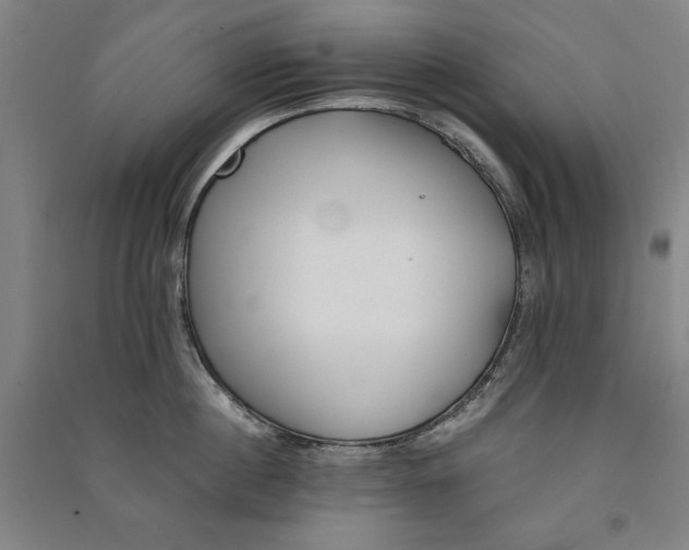 X0000091340860200708171409